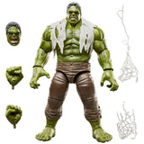 ( Pre Order ) Marvel Legends Series Spider-Man Brand New Day: Hulk Deluxe Action Figure
