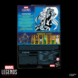( Pre Order ) Marvel Legends Series Phantom Rider ( Executioner BAF Wave ) 6 inch Action Figure