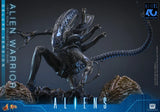 ( Pre Order ) Hot Toys Aliens MMS899 Alien Warrior (Deluxe Ver.) 1/6th Scale Collectible Figure
