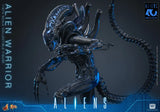 ( Pre Order ) Hot Toys Aliens MMS898 Alien Warrior 1/6th Scale Collectible Figure