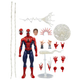 IN STOCK! Marvel Legends Maximum Series Spider-Man Action 6 inch Action Figure