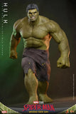 ( Pre Order ) Spider-Man: Brand New Day MMS905 Hulk 1/6th Scale Collectible Figure
