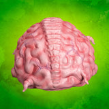 ( Pre Order ) Trick Or Treat Studios Krang 1:1 Prop Replica