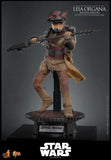 ( Pre Order ) Hot Toys Star Wars: Return of the Jedi MMS854 Leia Organa (Boushh Disguise) 1/6th Scale Collectible Figure