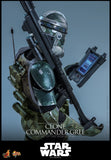 ( Pre Order ) Hot Toys Star Wars: Revenge of the Sith MMS877 Clone Commander Gree 1/6th Scale Collectible Figure