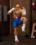 ( Pre Order ) Ultra Street Fighter II Sagat 6-Inch Scale Action Figure