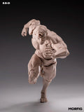 ( Pre order ) INART- Blank Male Body 1/12 Action Figure (White)