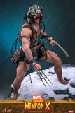 ( Pre Order ) HOT TOYS Marvel Comics CMS034 Weapon X 1/6th Scale Collectible Figure