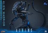 ( Pre Order ) Hot Toys Aliens MMS899 Alien Warrior (Deluxe Ver.) 1/6th Scale Collectible Figure