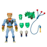 IN STOCK! MOTU X Thundercats Tygra Action Figure