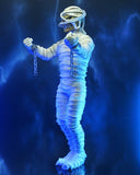 ( Pre Order ) NECA Iron Maiden Mummy Eddie Clothed Action Figure