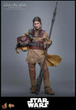 ( Pre Order ) Hot Toys Star Wars: Return of the Jedi MMS854 Leia Organa (Boushh Disguise) 1/6th Scale Collectible Figure