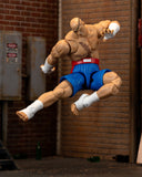 ( Pre Order ) Ultra Street Fighter II Sagat 6-Inch Scale Action Figure