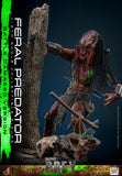 ( Pre Order ) HOT TOYS Prey TMS173 Feral Predator (Battle Damaged Ver.) 1/6th Scale Collectible Figure