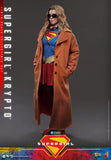 ( Pre Order ) Hot Toys Supergirl MMS869 Supergirl & Krypto 1/6th Scale Collectible Figure