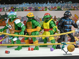 ( Pre Order ) NECA TMNT Adventures Stump Wrestling Turtles (Archie Comics) Four-Pack