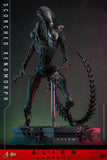 ( Pre Order ) Hot Toys Alien: Romulus MMS784 Scorched Xenomorph 1/6th Scale Collectible Figure