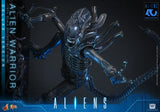( Pre Order ) Hot Toys Aliens MMS899 Alien Warrior (Deluxe Ver.) 1/6th Scale Collectible Figure