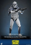 ( Pre Order ) Hot Toys Star Wars: The Clone Wars TMS142 104th Battalion Wolfpack Clone Trooper 1/6th Scale Collectible Figure