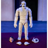( Pre Order ) Jada Toys Scooby Doo Wave 1 Mummy of Ankha Action Figure