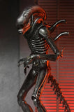 ( Pre Order ) NECA Alien: Romulus Ultimate Xenomorph XX121 Action Figure