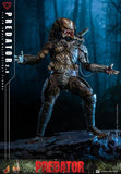 ( Pre Order ) Hot Toys Predator Predator MMS816 Predator (2.0 Ver.) 1/6th Scale Collectible Figure