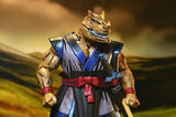 ( Pre Order ) NECA TMNT Chote (Mirage Comics) Action Figure