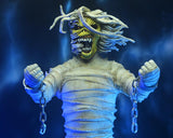 ( Pre Order ) NECA Iron Maiden Mummy Eddie Clothed Action Figure