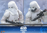 ( Pre Order ) Hot Toys Star Wars: The Mandalorian & Grogu MMS838 Imperial Remnant Snowtrooper 1/6th Scale Collectible Figure
