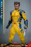 IN STOCK! HOT TOYS Deadpool & Wolverine MMS754 Wolverine (Deluxe Ver.) 1/6th Scale Collectible Figure