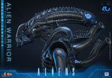 ( Pre Order ) Hot Toys Aliens MMS899 Alien Warrior (Deluxe Ver.) 1/6th Scale Collectible Figure
