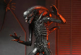 ( Pre Order ) NECA Alien: Romulus Ultimate Xenomorph XX121 Action Figure