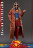 ( Pre Order ) Hot Toys Supergirl MMS869 Supergirl & Krypto 1/6th Scale Collectible Figure