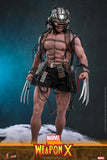 ( Pre Order ) HOT TOYS Marvel Comics CMS034 Weapon X 1/6th Scale Collectible Figure