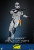 ( Pre Order ) Hot Toys Star Wars: The Clone Wars TMS142 104th Battalion Wolfpack Clone Trooper 1/6th Scale Collectible Figure