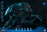 ( Pre Order ) Hot Toys Aliens MMS903 Alien Queen 1/6th Scale Collectible Figure