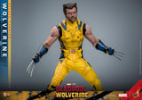 IN STOCK! HOT TOYS Deadpool & Wolverine MMS754 Wolverine (Deluxe Ver.) 1/6th Scale Collectible Figure