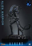 ( Pre Order ) Hot Toys Aliens MMS898 Alien Warrior 1/6th Scale Collectible Figure