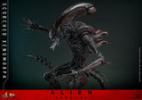 ( Pre Order ) Hot Toys Alien: Romulus MMS784 Scorched Xenomorph 1/6th Scale Collectible Figure