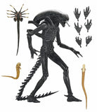 ( Pre Order ) NECA Alien: Romulus Ultimate Xenomorph XX121 Action Figure