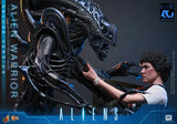 ( Pre Order ) Hot Toys Aliens MMS899 Alien Warrior (Deluxe Ver.) 1/6th Scale Collectible Figure
