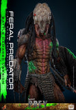 ( Pre Order ) HOT TOYS Prey TMS173 Feral Predator (Battle Damaged Ver.) 1/6th Scale Collectible Figure