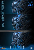 ( Pre Order ) Hot Toys Aliens MMS898 Alien Warrior 1/6th Scale Collectible Figure