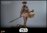 ( Pre Order ) Hot Toys Star Wars: Return of the Jedi MMS854 Leia Organa (Boushh Disguise) 1/6th Scale Collectible Figure