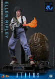 ( Pre Order ) Hot Toys Aliens MMS895 Ellen Ripley (Deluxe Ver.) 1/6th Scale Collectible Figure