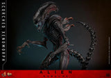 ( Pre Order ) Hot Toys Alien: Romulus MMS784 Scorched Xenomorph 1/6th Scale Collectible Figure