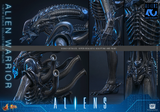 ( Pre Order ) Hot Toys Aliens MMS898 Alien Warrior 1/6th Scale Collectible Figure