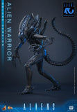 ( Pre Order ) Hot Toys Aliens MMS899 Alien Warrior (Deluxe Ver.) 1/6th Scale Collectible Figure