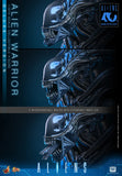 ( Pre Order ) Hot Toys Aliens MMS899 Alien Warrior (Deluxe Ver.) 1/6th Scale Collectible Figure