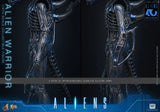 ( Pre Order ) Hot Toys Aliens MMS898 Alien Warrior 1/6th Scale Collectible Figure